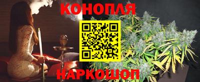 прущие грибы Славянск-на-Кубани