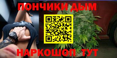 прущие грибы Славянск-на-Кубани
