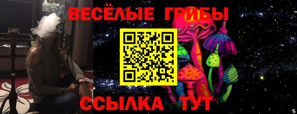 Галлюциногенные грибы Cubensis  Вход с VPN  Ноябрьск 